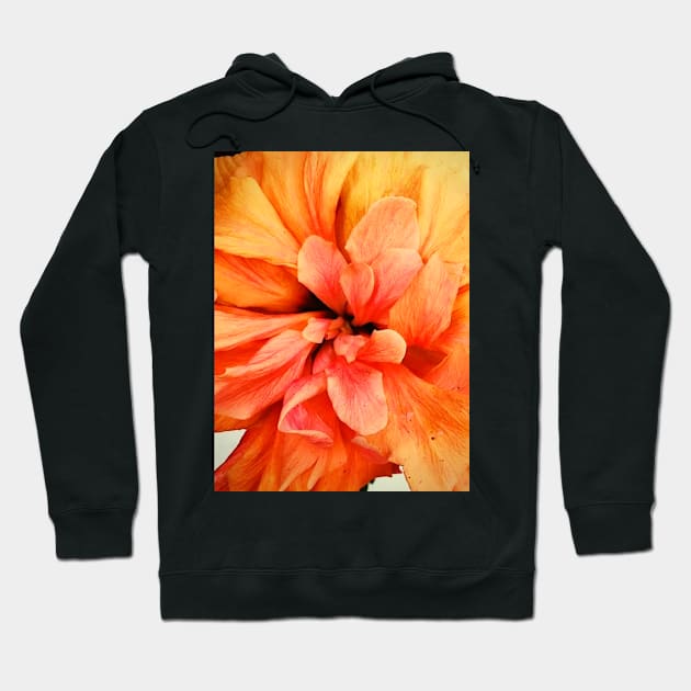 Golden Hibiscus of Spain Hoodie by Raiza